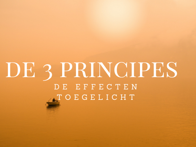 Wat heb je aan de 3 principes? Waar zijn de 3 principes goed voor?